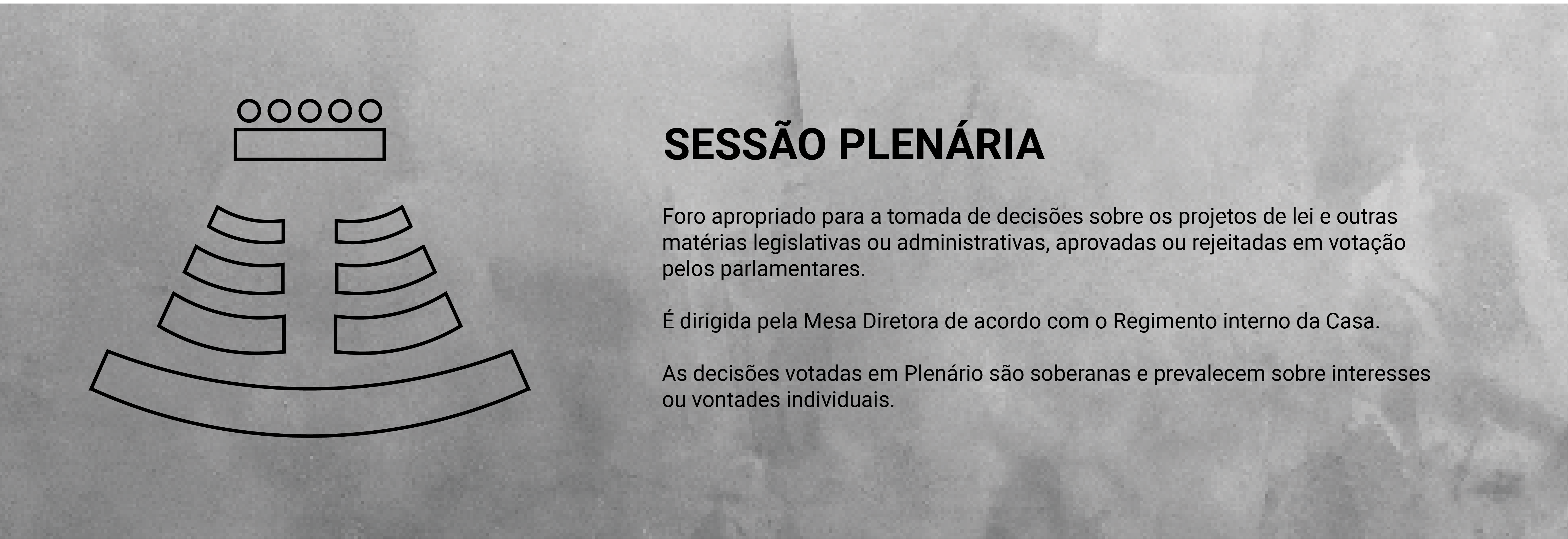 Sessão Plenária